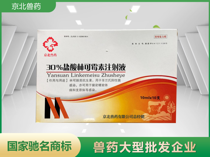 30%鹽酸林可霉素注射液
