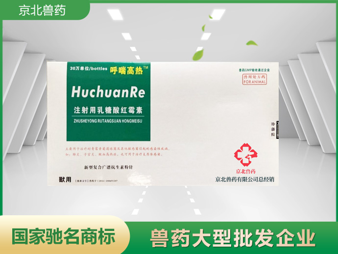 呼喘高熱