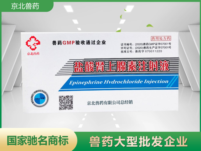 鹽酸腎上腺素注射液