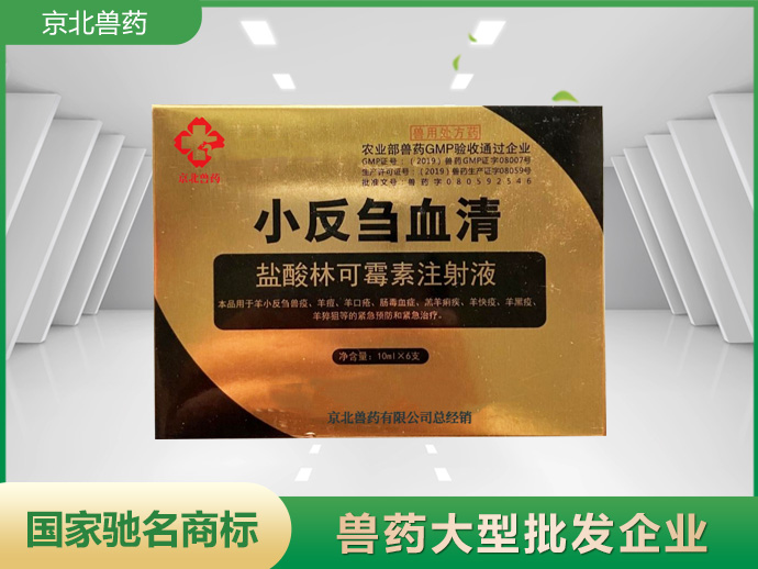 小反芻血清