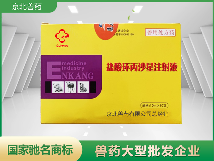 鹽酸環(huán)丙沙星注射液