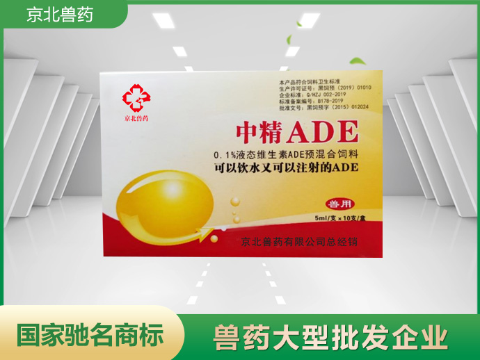 中精ADE